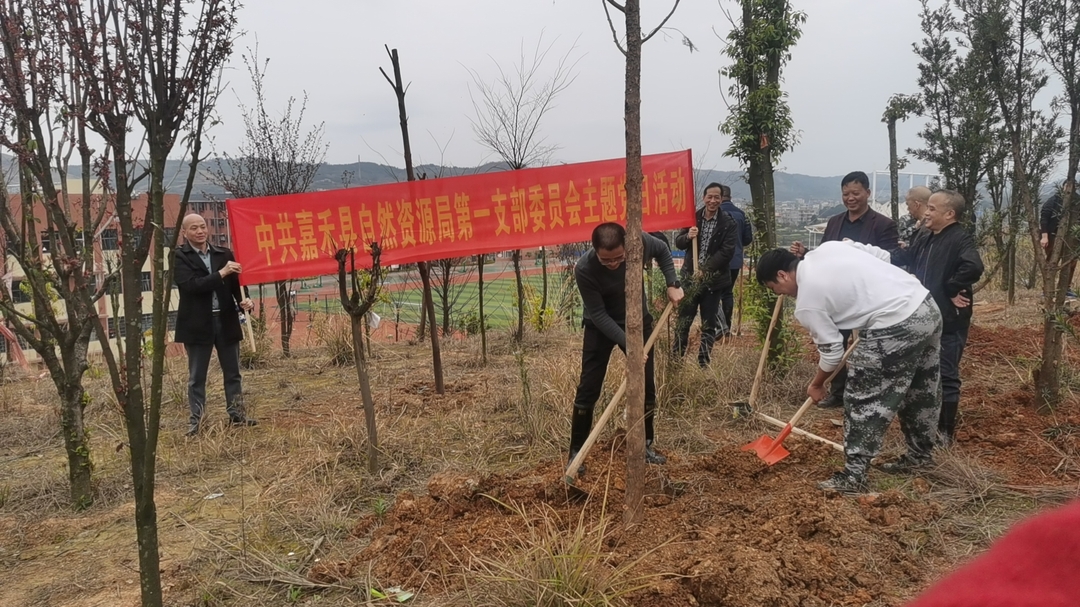 嘉禾县自然资源局党支部开展义务植树活动