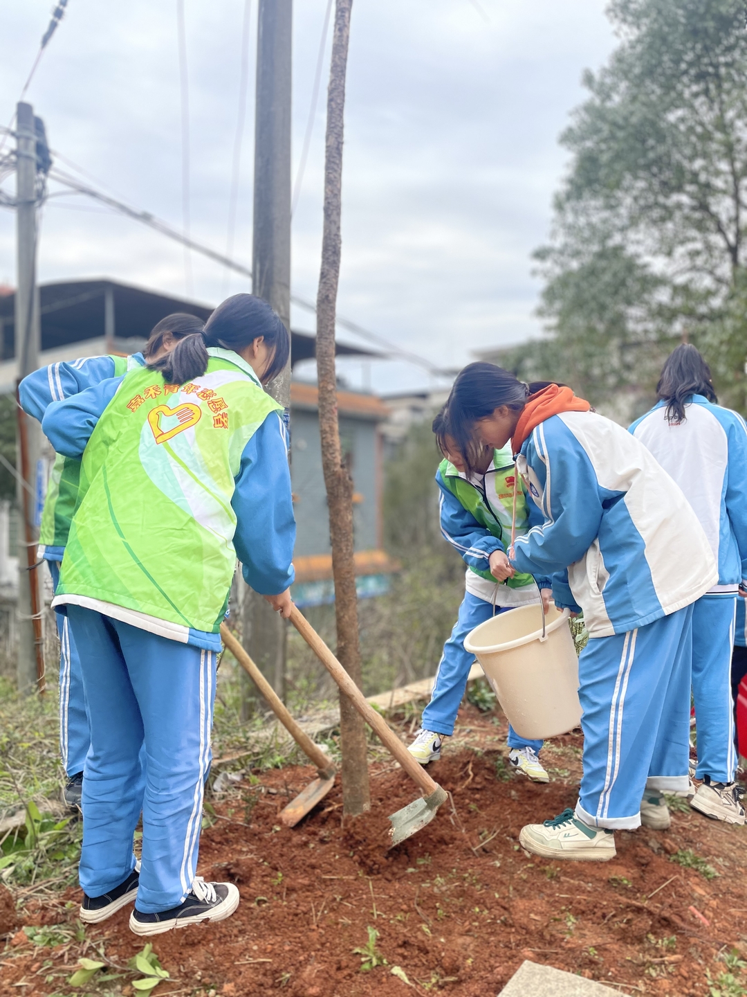 嘉禾团县委组织开展义务植树活动