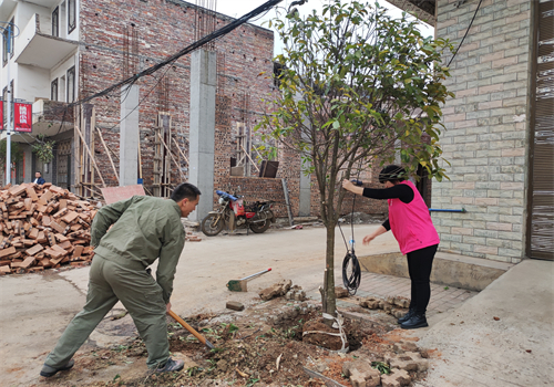 塘村镇开展“同种一棵树，共植一片绿”义务植树活动