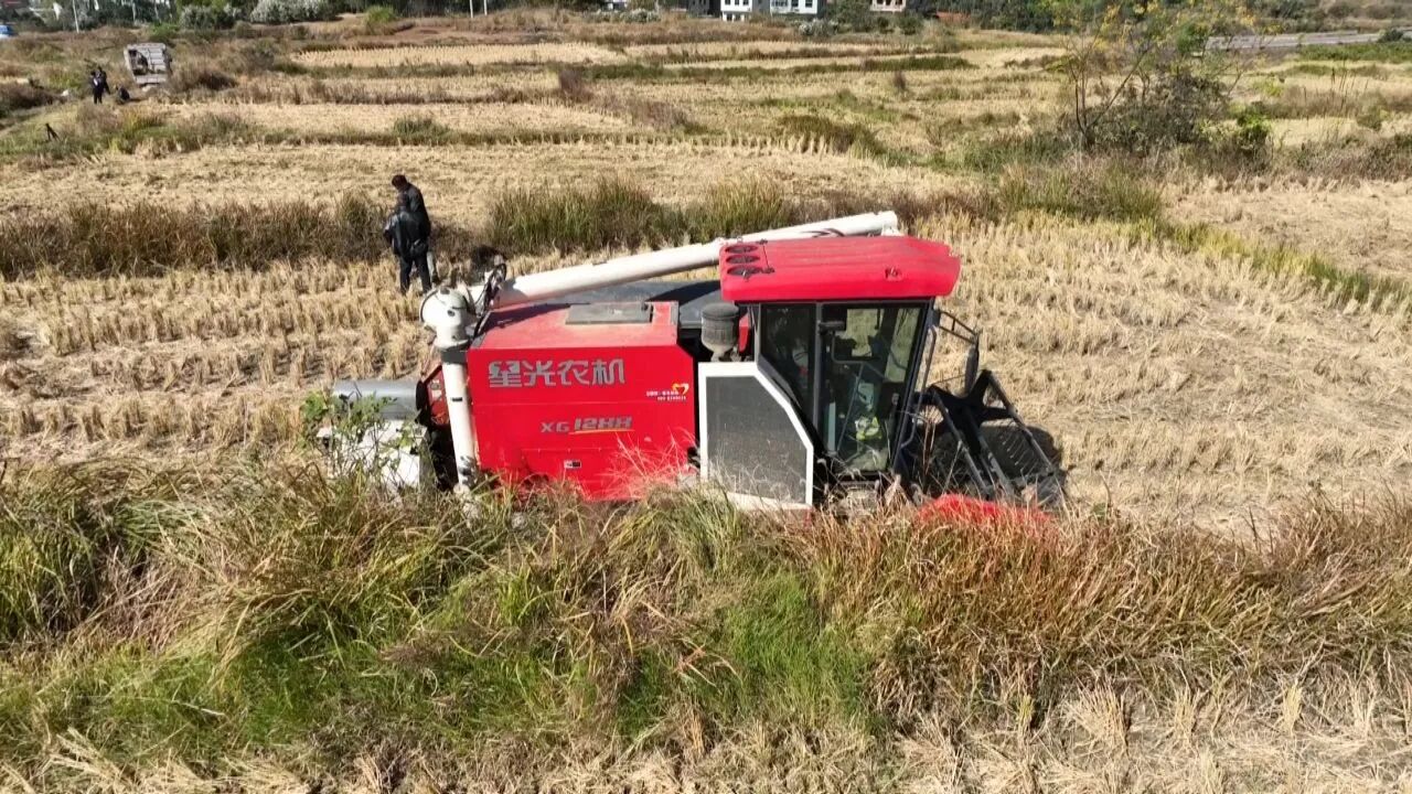 嘉禾县珠泉镇：秸秆“变废为宝” 走出生态农业双赢路