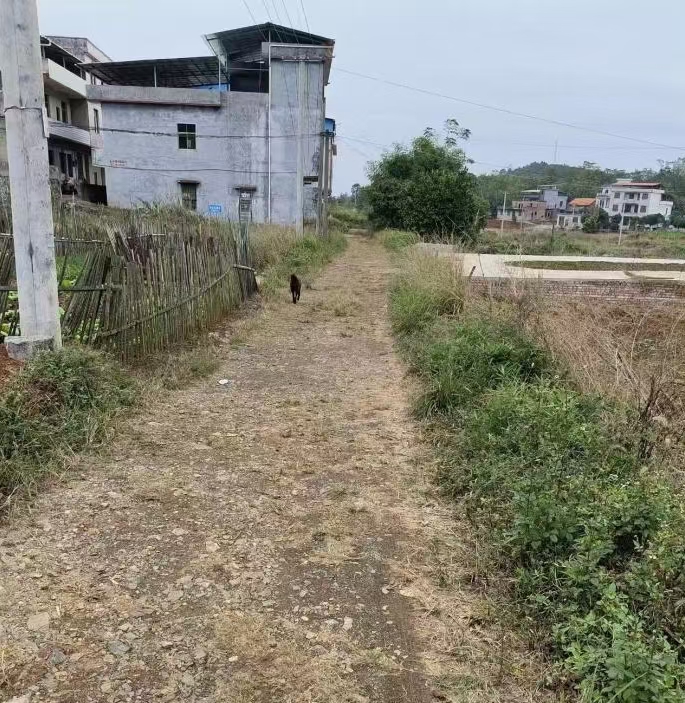 石桥镇南岸村满竹山：移民资金助力修通民生幸福路