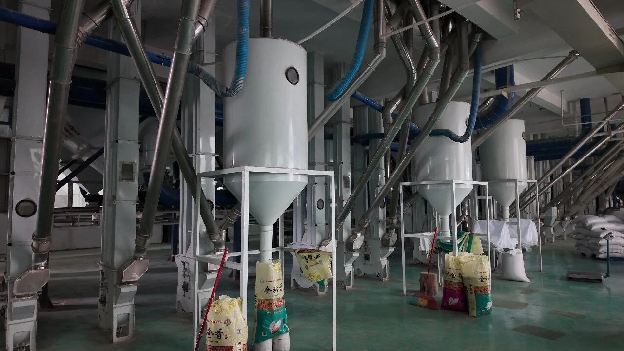 “十五五”开好局起好步 | 佳禾米业以“禾仓香”领跑富硒粮油新赛道 助力“十五五”开好局起好步