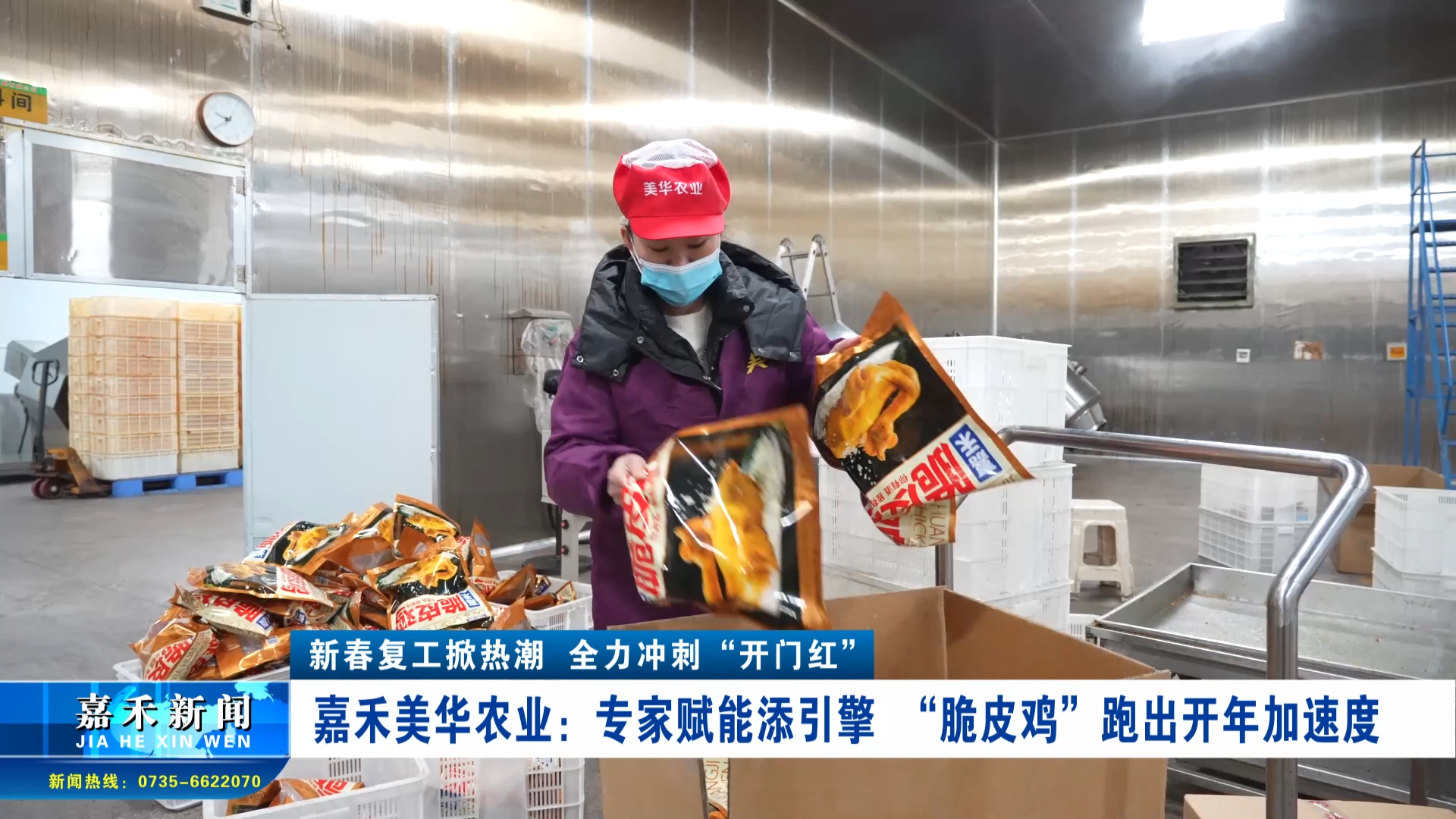新春复工掀热潮  全力冲刺“开门红”  | 嘉禾美华农业：专家赋能添引擎  “脆皮鸡”跑出开年加速度