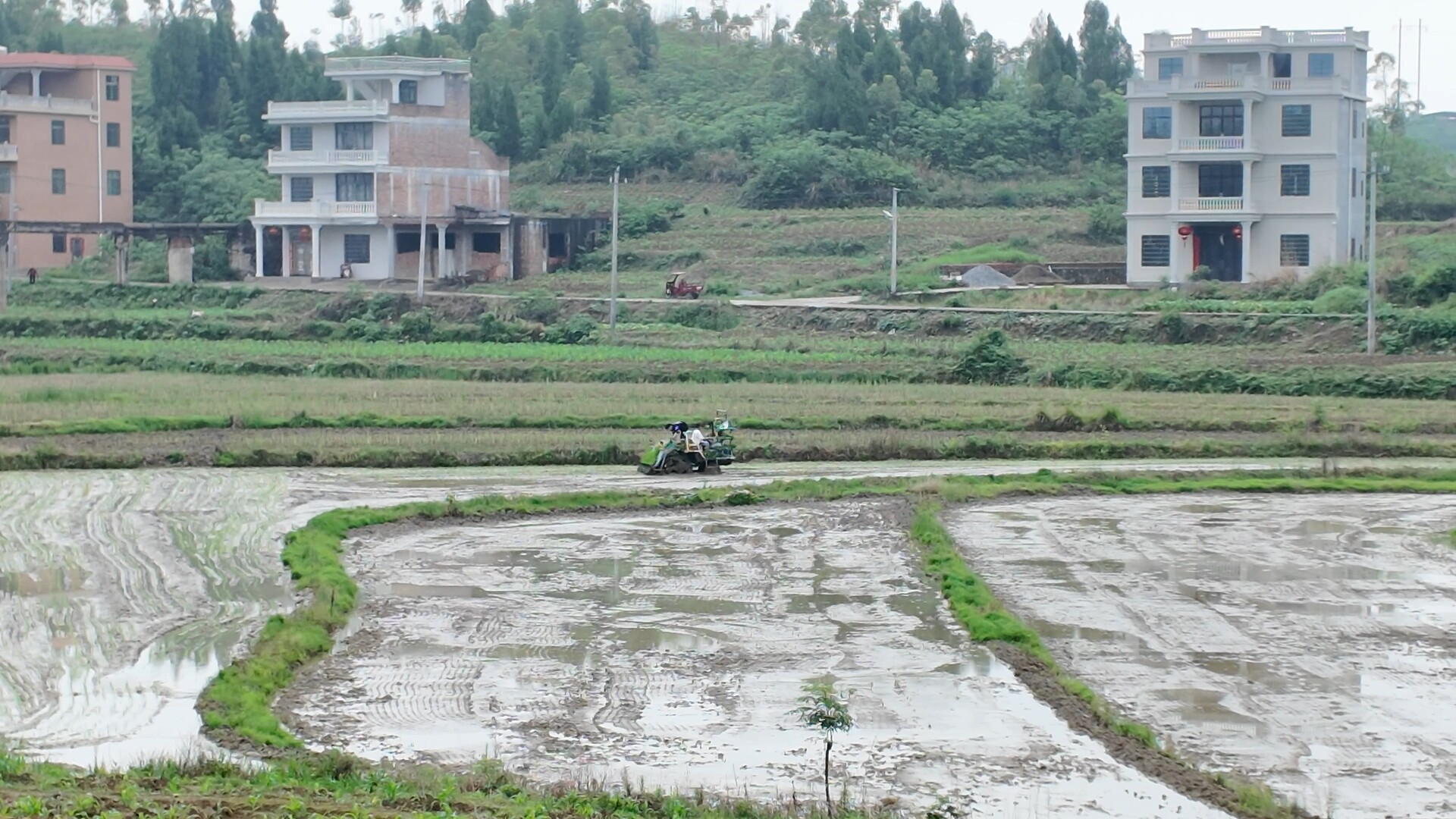 科技赋能春耕新图景：嘉禾县坦坪镇山潭村无人机送秧助力富硒稻种植