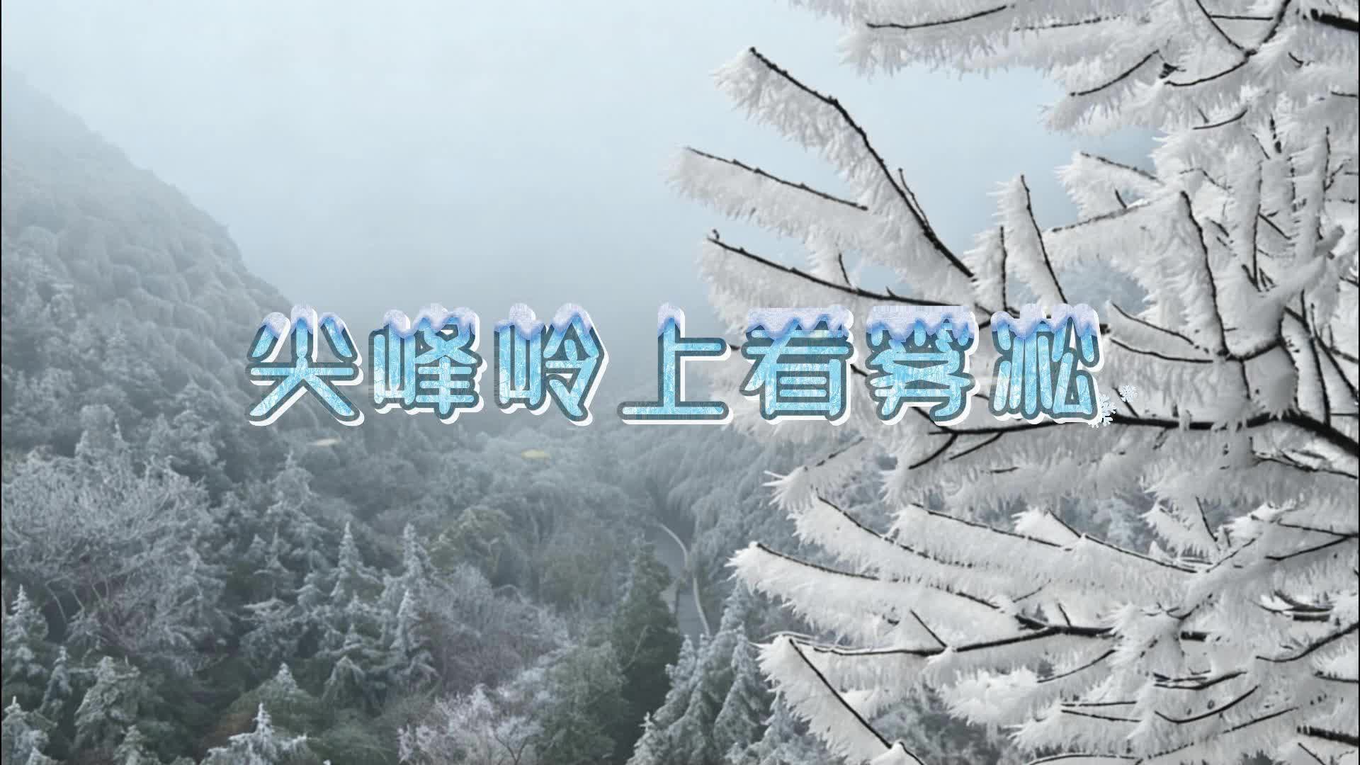 嘉禾尖峰岭雾凇美如画